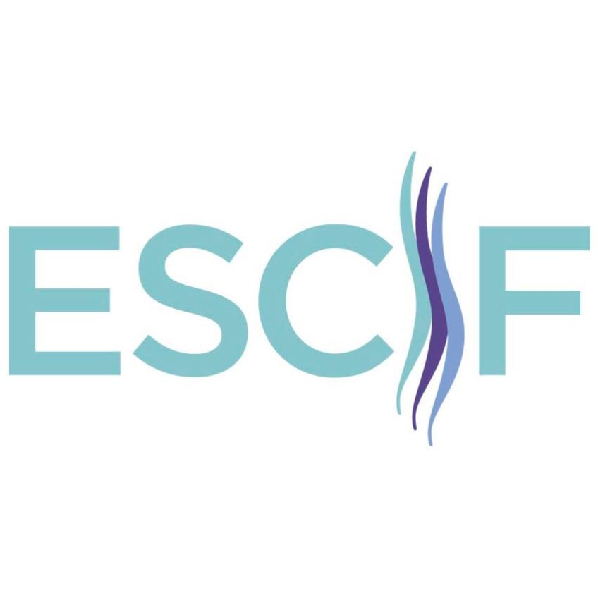 Federación Europea de Lesionados Medulares (ESCIF)