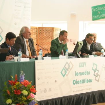 «Cautela y prudencia en la investigación para la reparación de la médula espinal»